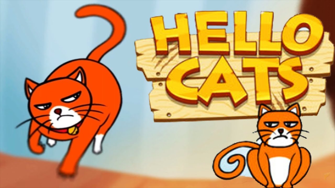 Hello Cats video