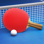 Table Tennis Touch