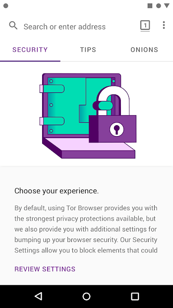 tor project browser