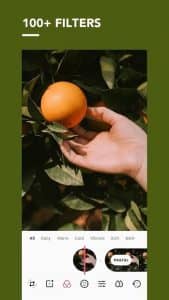 Pomelo 2