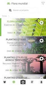 PlantNet Identificación Planta 3