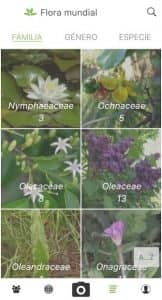 PlantNet Identificación Planta 5