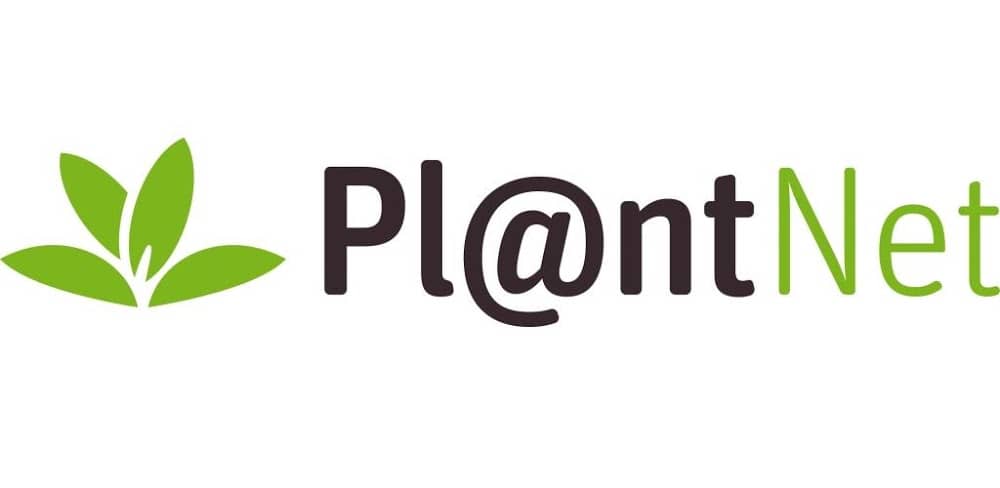 PlantNet Identificación Planta video
