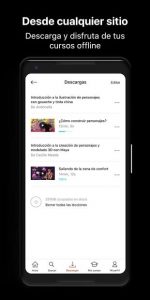 Domestika 2