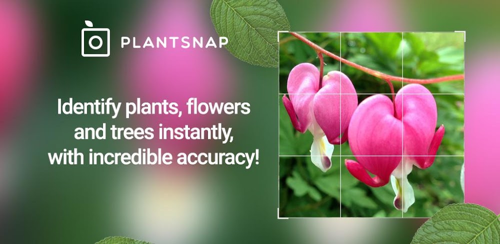 PlantSnap video