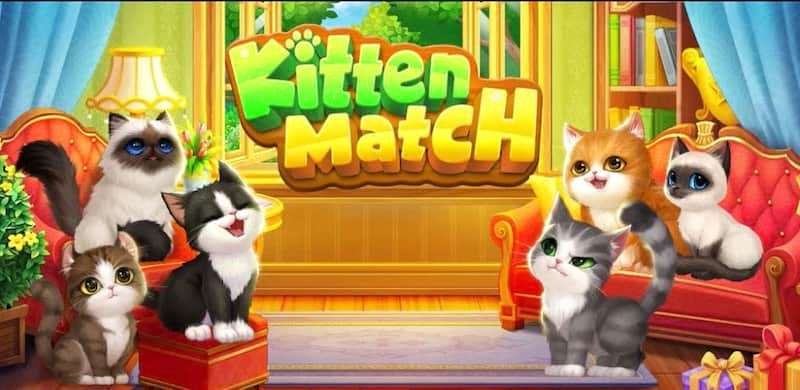 Kitten Match video