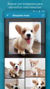 Microsoft Bing 4