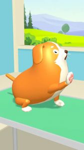 Paw Care 5