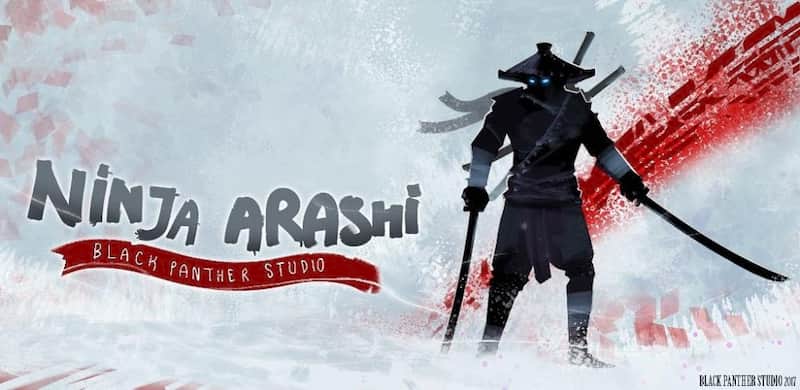 Ninja Arashi video