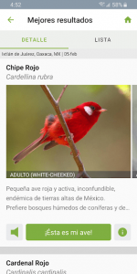 Merlin Bird ID Por Cornell Lab 5