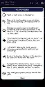 Fishing forecast 4