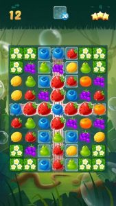Sweet Fruit Candy 3