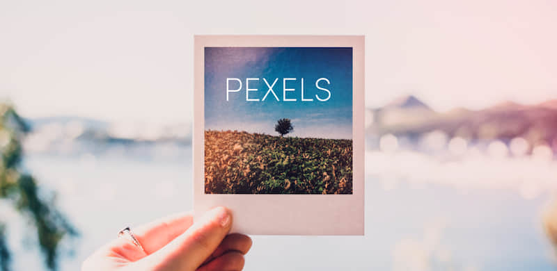 Pexels video