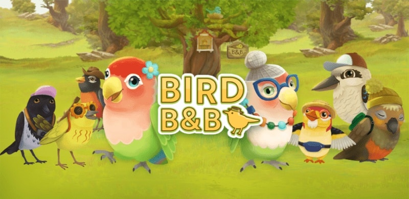 Bird BnB video