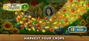 Solitaire Grand Harvest 4