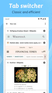 Kiwi Browser 2