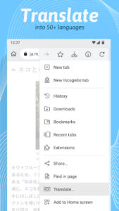 Kiwi Browser 4