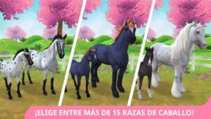Star Stable Horses 2
