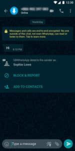 GBWhatsApp Pro 3