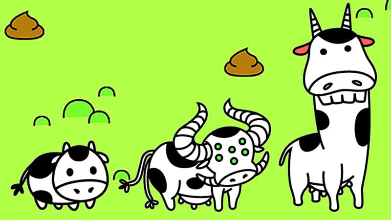 Cow Evolution video