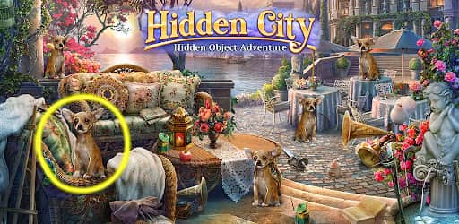 Hidden City video