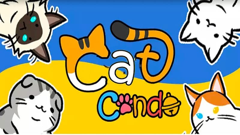 Cat Condo video