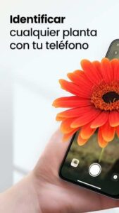 Plant App 1