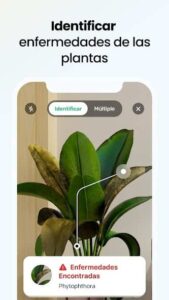 Plant App 3