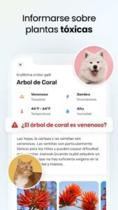 Plant App 5